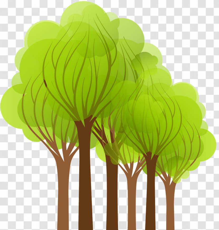 Shulin District Tree Cartoon - Plant Stem - Green Transparent PNG