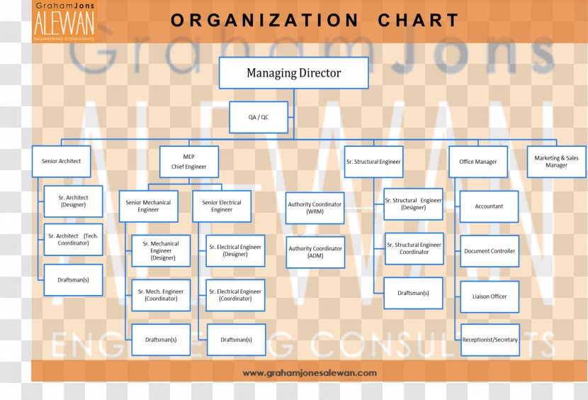 Organizational Chart Diagram Consultant Company - Map - Costco Structure Transparent PNG