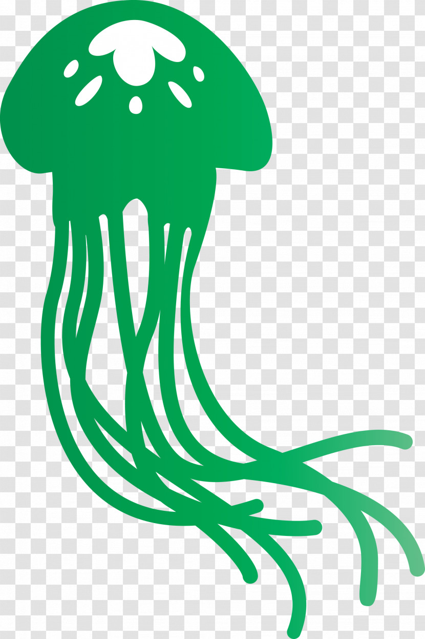 Jellyfish Transparent PNG