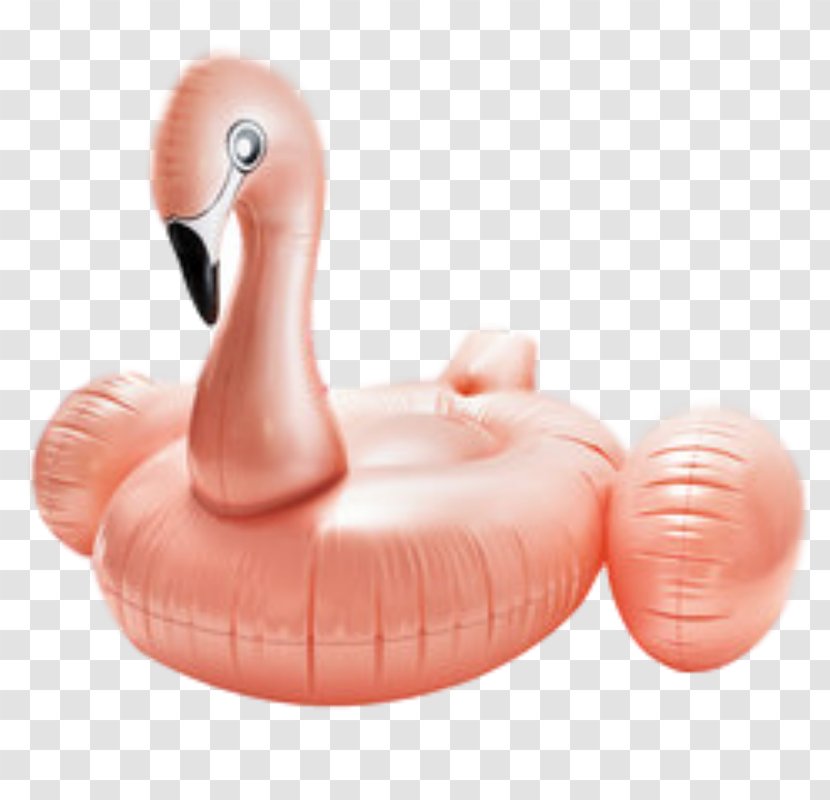 Flamingos Inflatable Swim Ring Swimming Pool Raft - Float - Partylite Transparent PNG