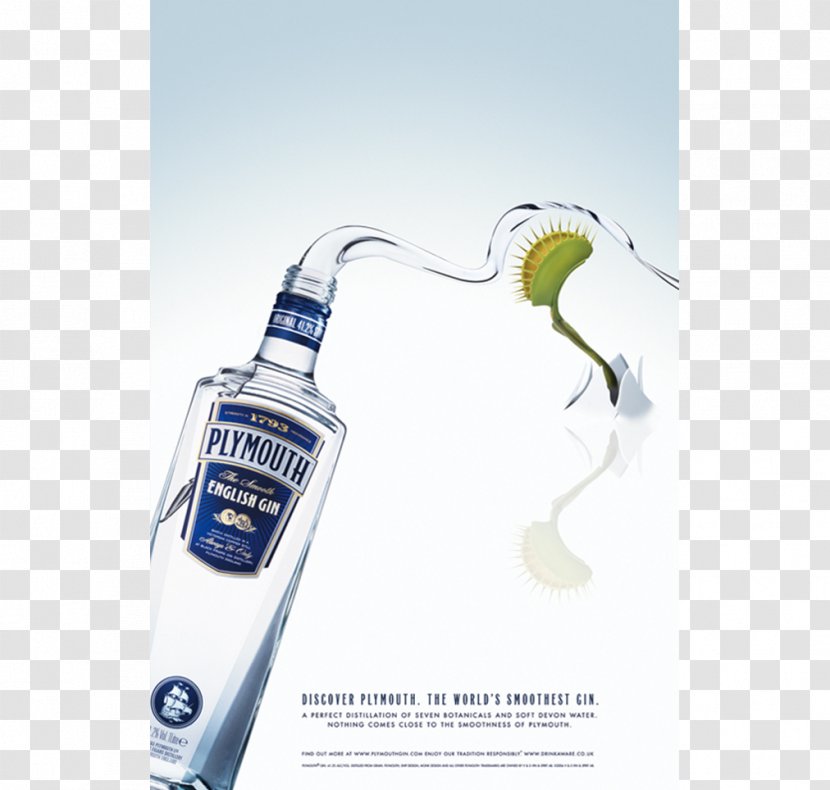 Liqueur Plymouth Gin Distilled Beverage Distillation - Advertising Transparent PNG