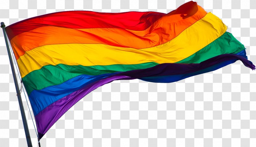 LGBT Flag - Frame - Silhouette Transparent PNG