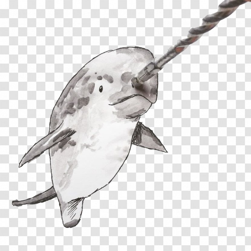 Drawing Artist Work Of Art Sketch - Bird - Dolphin Transparent PNG