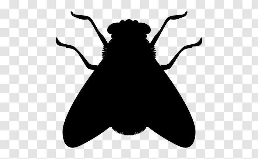 Insect Fly Icon - Membrane Winged - Silhouette Flies Transparent PNG