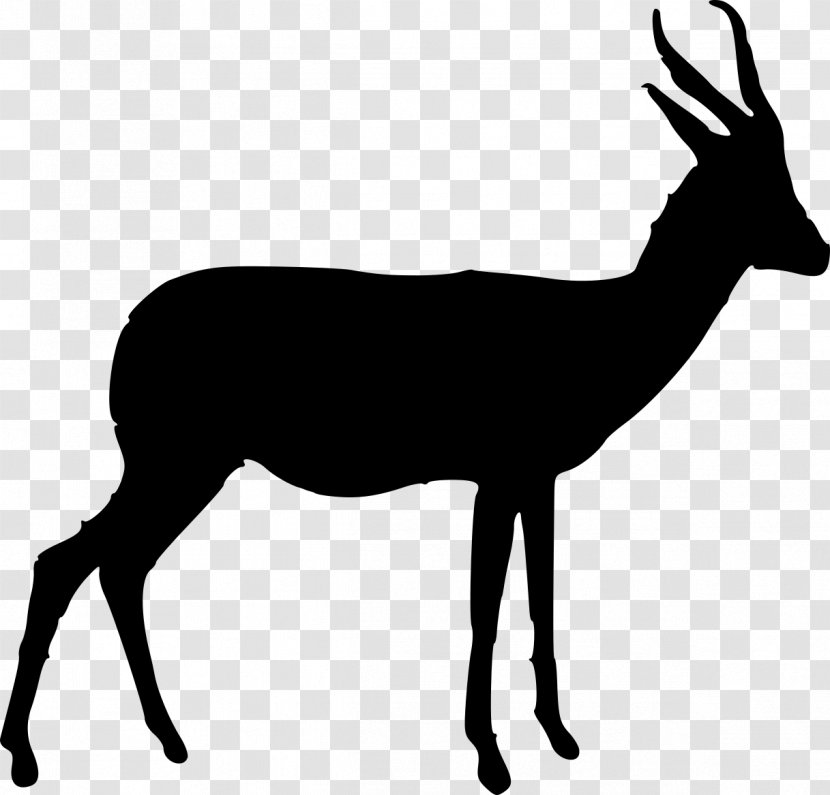 Springbok Antelope Gazelle Horn Clip Art - Tail - Arabian Oryx Transparent PNG