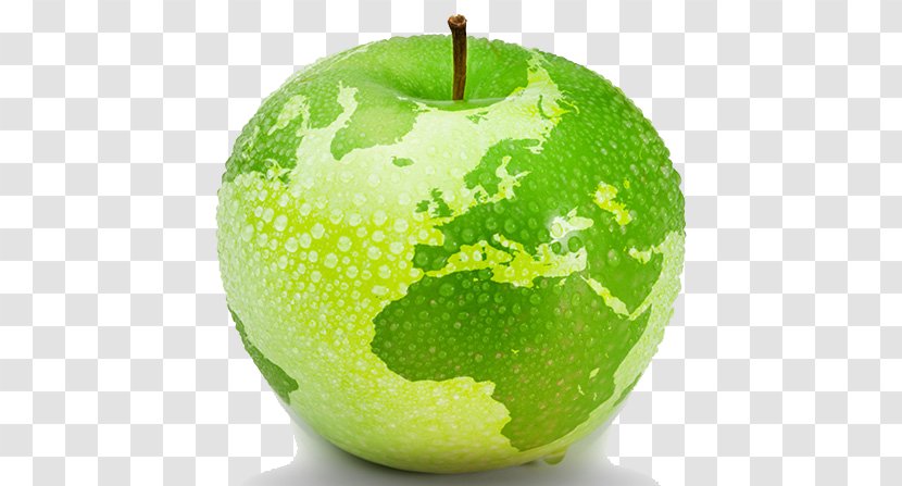 Can Stock Photo Photography - Green - World Health Day Transparent PNG