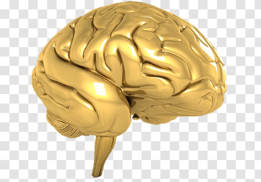 Human Brain Hidden Eye - Frame Transparent PNG