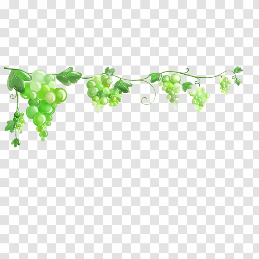 Common Grape Vine Desktop Wallpaper Image Clip Art - Vintage Transparent PNG