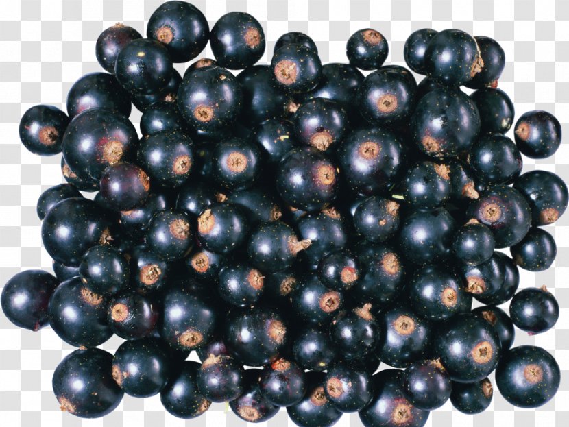 Blackcurrant Varenye Nalewka Redcurrant - Blueberry - Chokeberry Transparent PNG