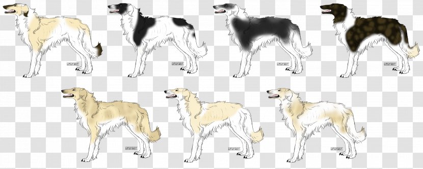 Whippet Spanish Greyhound Sloughi Dog Breed - Animal Sports Transparent PNG
