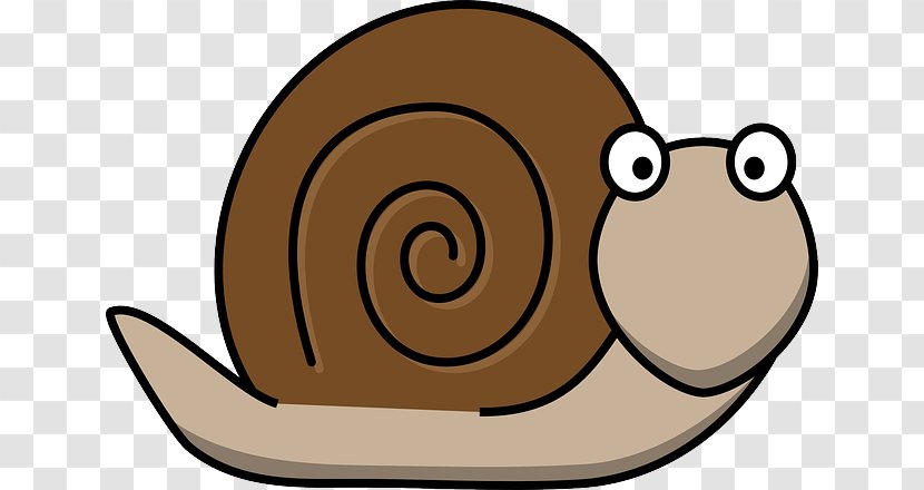 Snail Gastropods Slug Clip Art - Snails And Slugs Transparent PNG