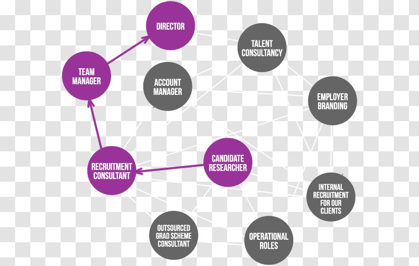 Brand Organization Diagram - Career Path Transparent PNG