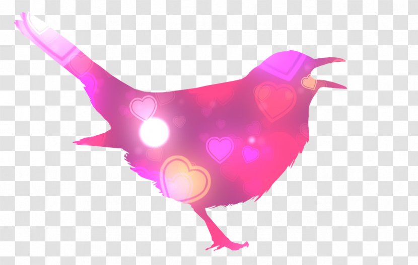 Bird Silhouette Animal - Chicken Transparent PNG