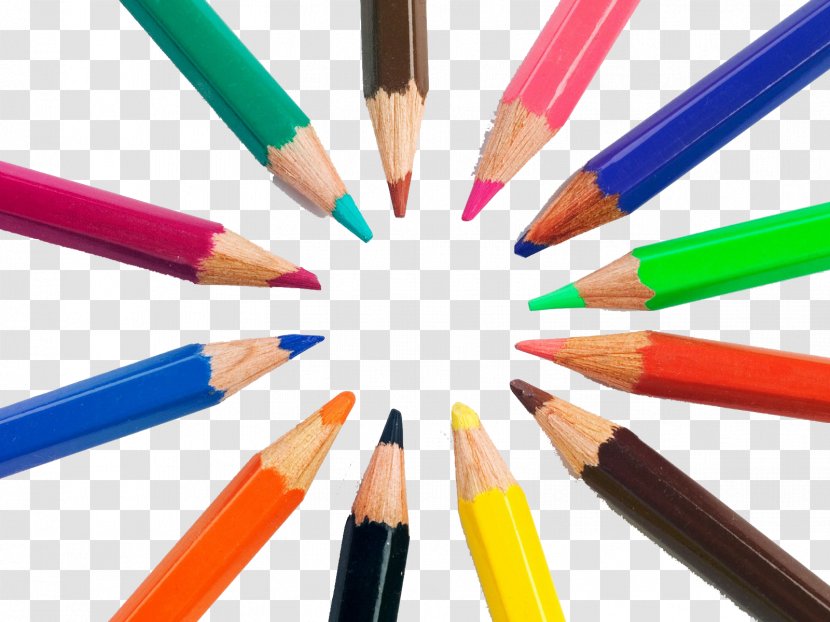 Colored Pencil Drawing Crayon - Writing Implement - Creative Furnishings Transparent PNG
