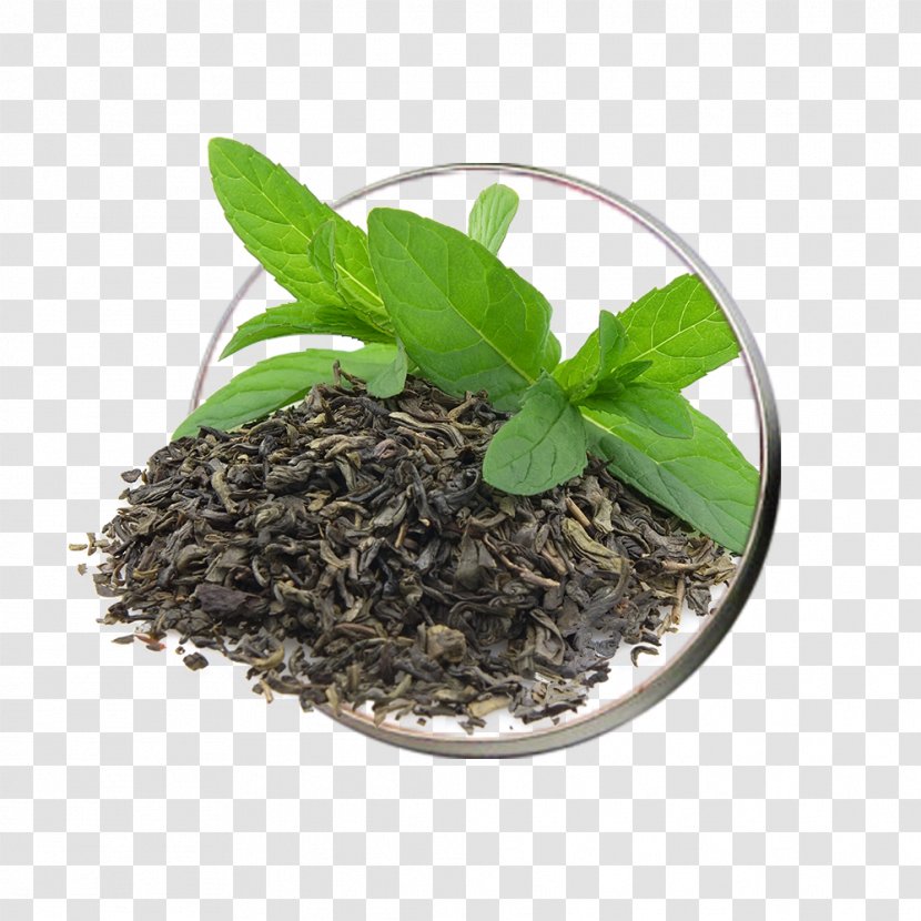 Green Tea Coffee Food Drink - Antioxidant - Mohammad Ali Transparent PNG