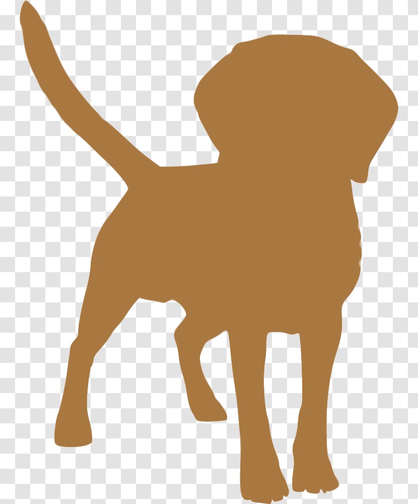 Dog Breed Puppy Tibetan Spaniel Mastiff English - Tail - Cosmetics Album Transparent PNG
