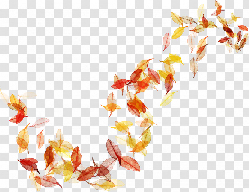 Maple Leaf Transparent PNG