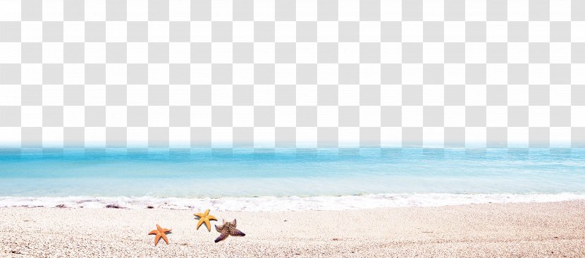 Vacation Summer Ecoregion Sky Plc - Sand - Beach Transparent PNG