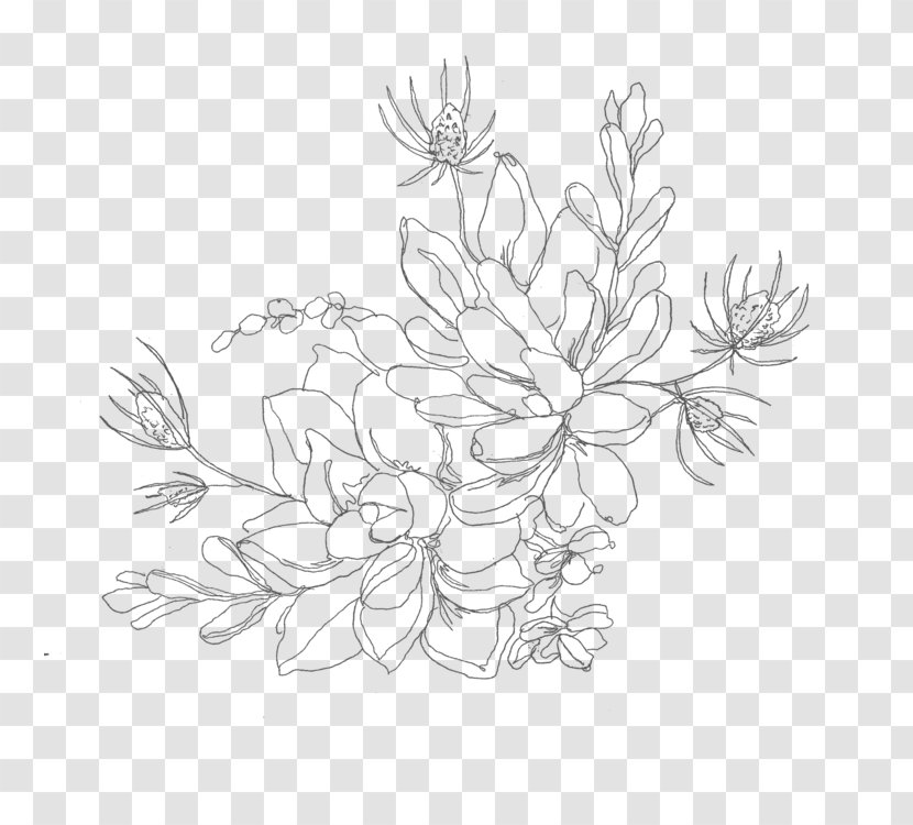 Line Art Drawing Succulent Plant Illustration - Tattoo - Flower Drawings Transparent PNG