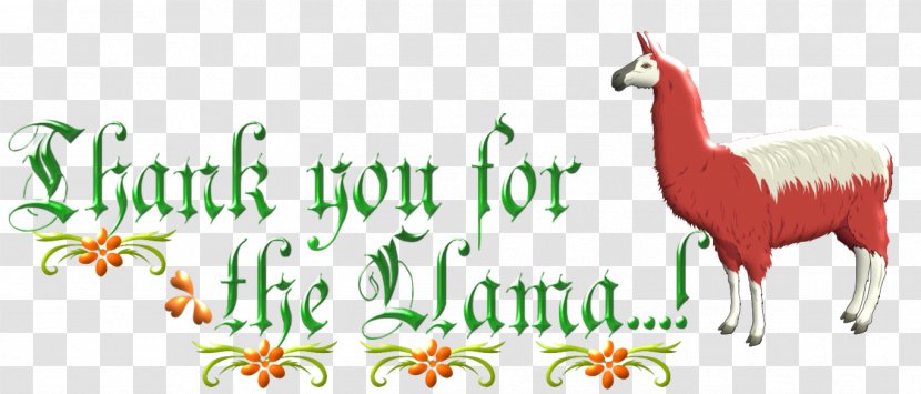 Llama Horse Logo Illustration Clip Art - Like Mammal - Frases De La Pobreza Transparent PNG