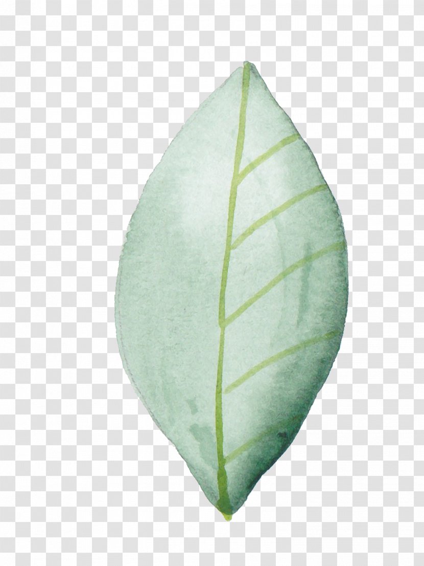 Leaf Painting Image Design Green - Watercolor - Foliage Transparent PNG