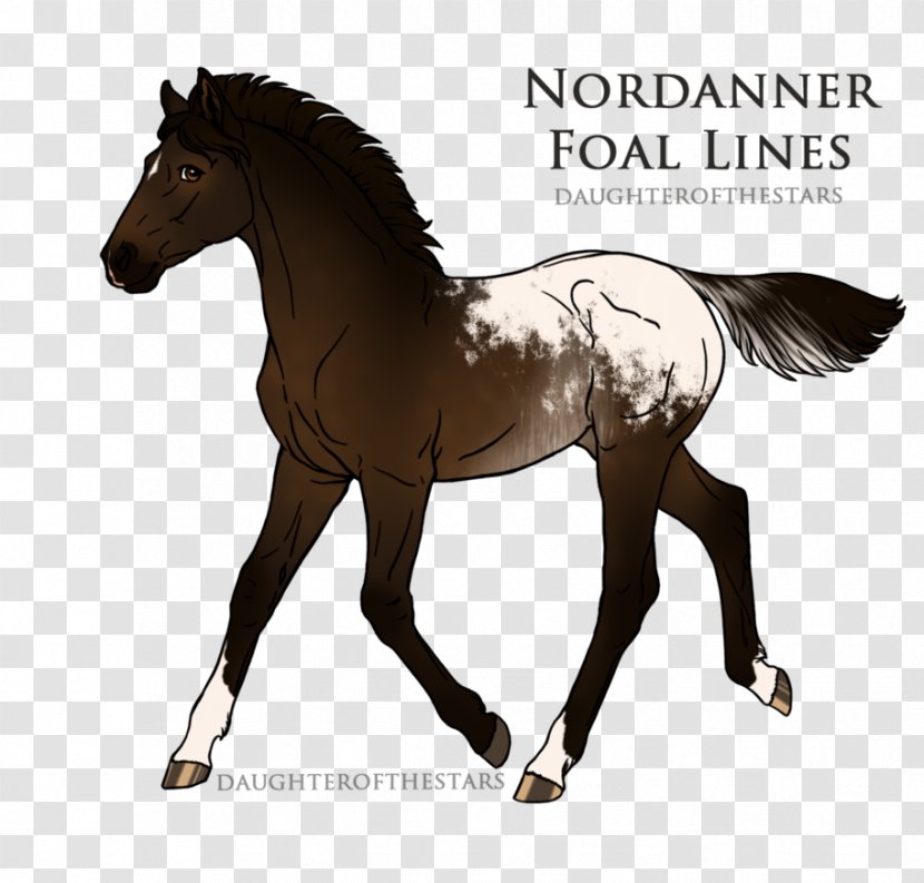 Mustang Stallion Pony Foal Mare - Rearing Transparent PNG