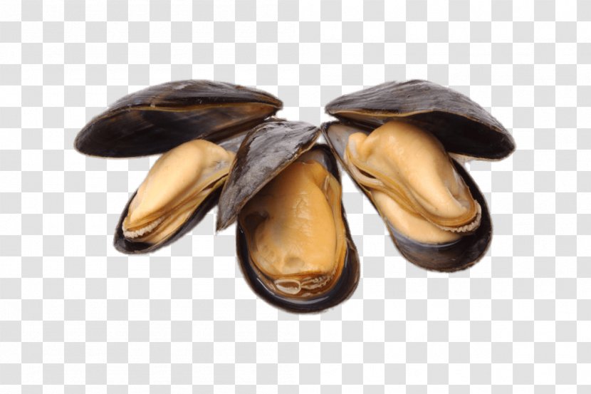 Blue Mussel Oyster Food Supper - Meat - Parsley Transparent PNG