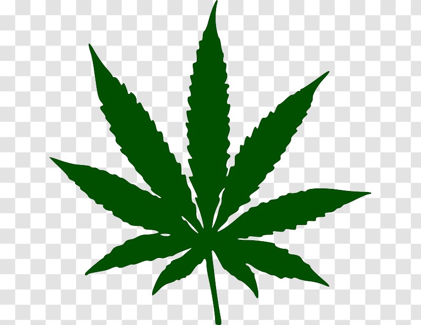 Cannabis Sativa Marijuana Leaf Clip Art - Hemp Transparent PNG