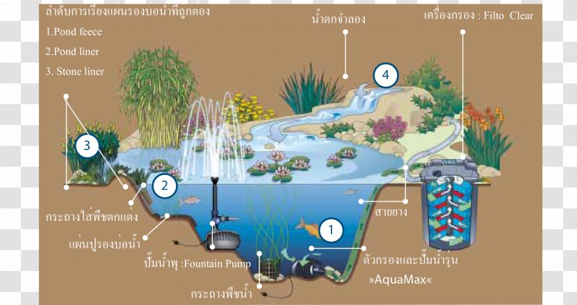 Garden Pond Architectural Engineering Aquatic Plants - Water Transparent PNG
