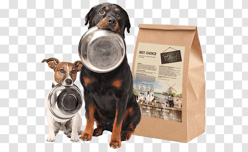 Dog Food Cat Pet - Assistance - Best Choice Transparent PNG