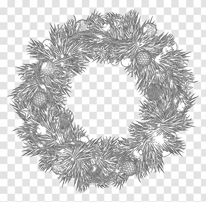 Christmas Decoration - Colorado Spruce - Twig Pine Family Transparent PNG