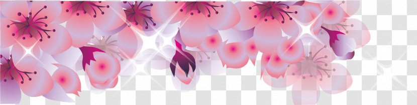 National Cherry Blossom Festival - Flower - Shade Border Transparent PNG