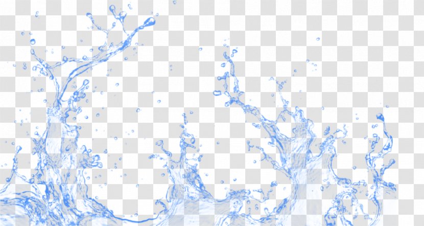 Image Vector Graphics Desktop Wallpaper Clip Art - Charles Silvestri Junior High School - Water Transparent PNG