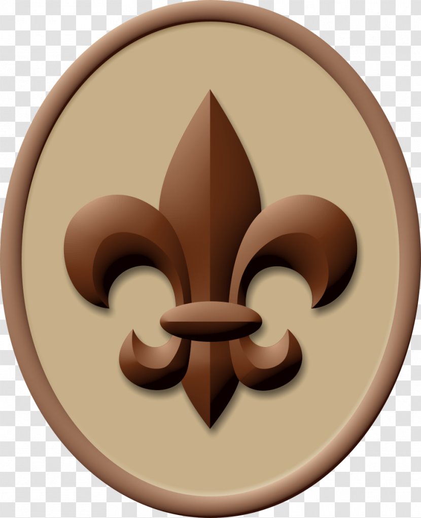 Boy Scout Handbook Ranks In The Scouts Of America Scouting Eagle Transparent PNG