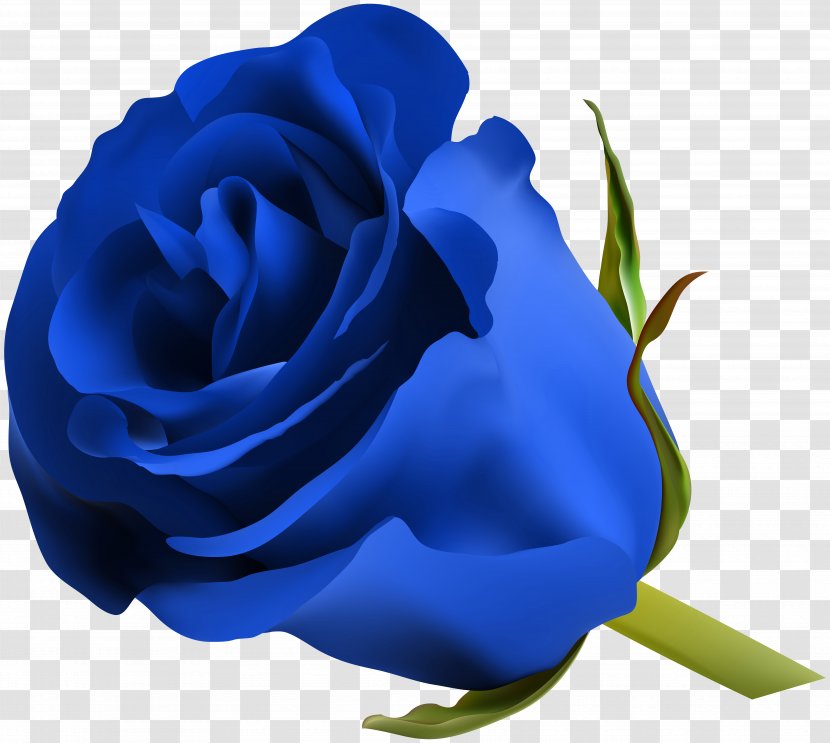 Rose Flower Clip Art - Floribunda - Blue Image Transparent PNG