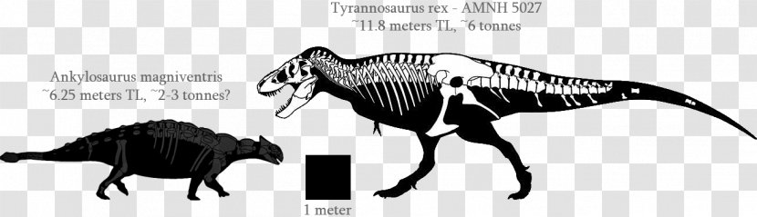 Ankylosaurus Triceratops Euoplocephalus Dinosaur Hell Creek Formation - Geological Transparent PNG