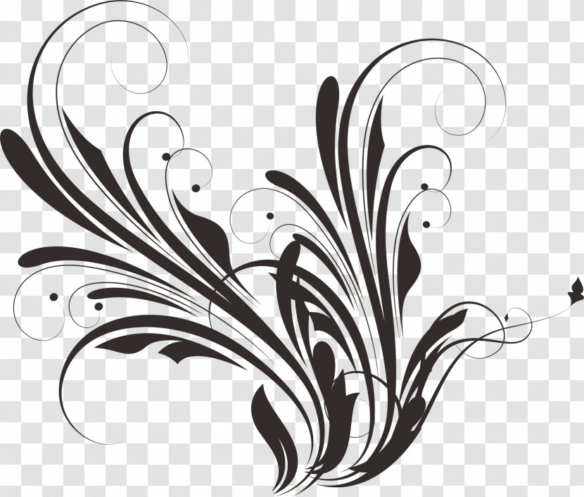 Black And White - Feather - Lines Transparent PNG