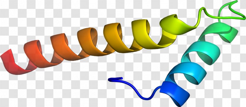 Bovine Serum Albumin Clip Art - Design Transparent PNG