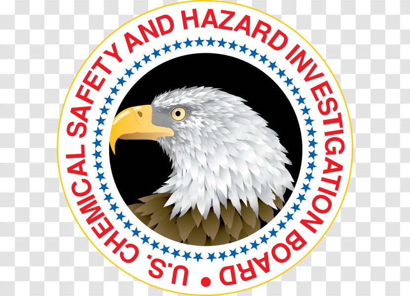 U.S. Chemical Safety And Hazard Investigation Board Washington, D.C. Federal Government Of The United States Business Accident - Beak Transparent PNG