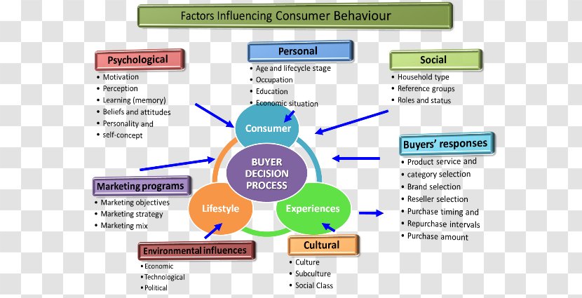 Consumer Behaviour Behavior Research - Essay - Marketing Transparent PNG