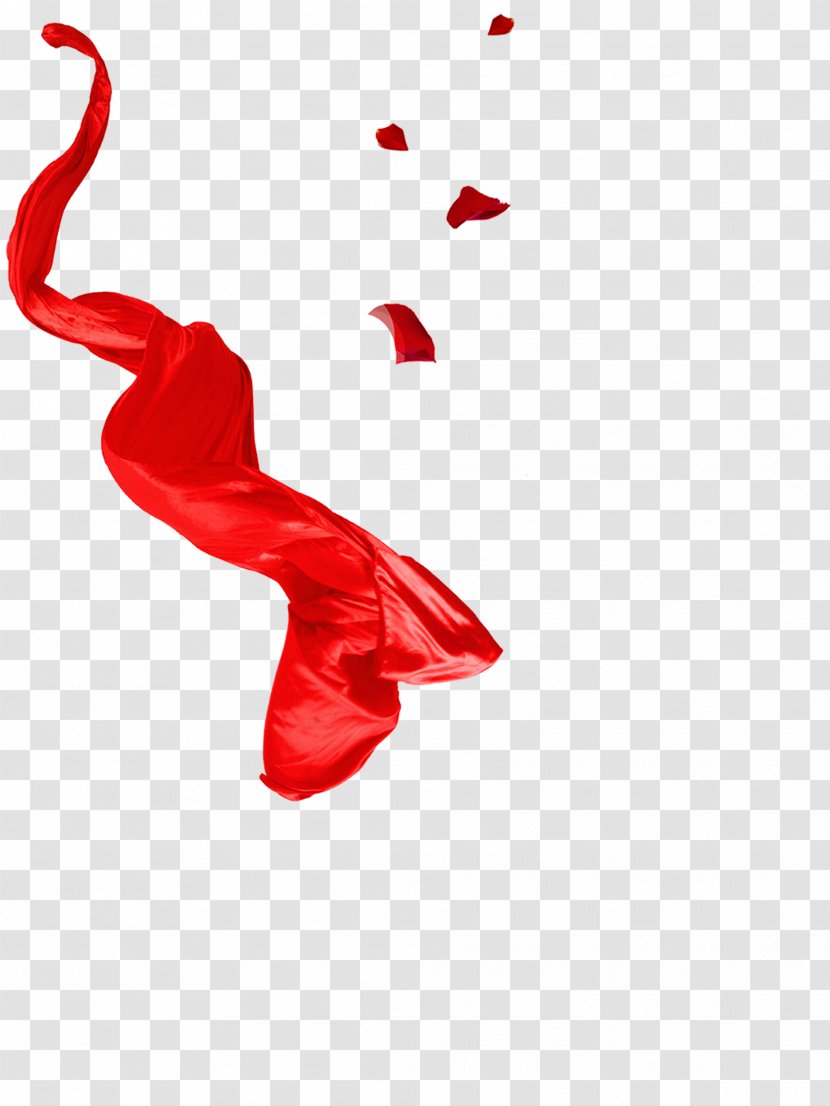 Red Linchuan District Icon - Designer - Satin Transparent PNG