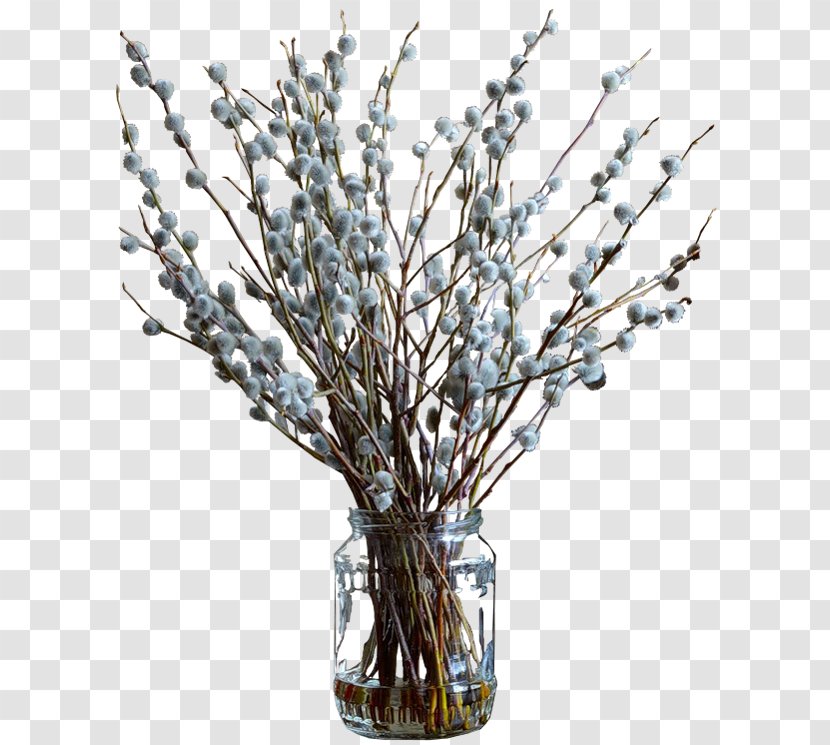 Flower Willow Clip Art - Plant Transparent PNG