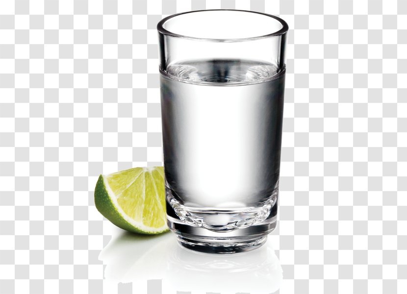Highball Glass Tequila Gin And Tonic Whiskey Transparent PNG