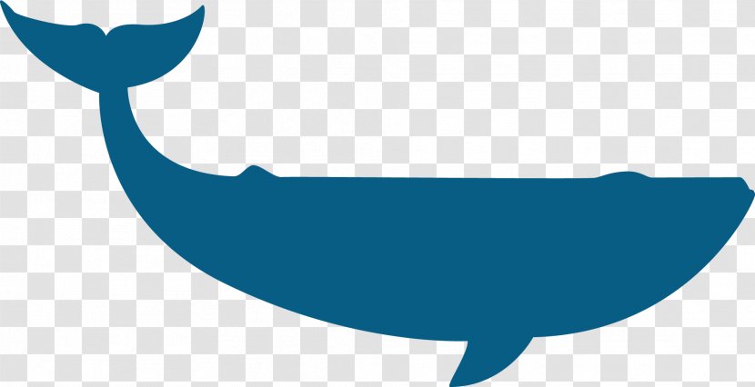 Dolphin Whale Google Images - Moby Dick 5 - Beluga Transparent PNG