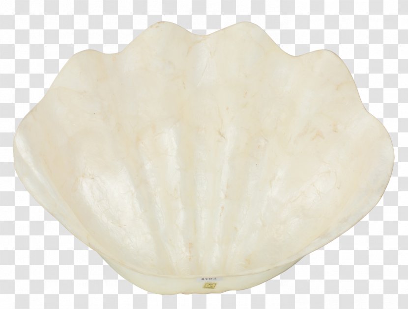 Mateus Ceramic Artifact .de Seashell - Treasure Bowl Transparent PNG