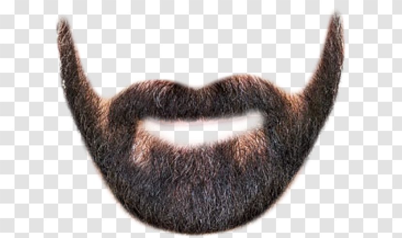 Beard Moustache Clip Art Shaving - Maintenance Men Transparent PNG