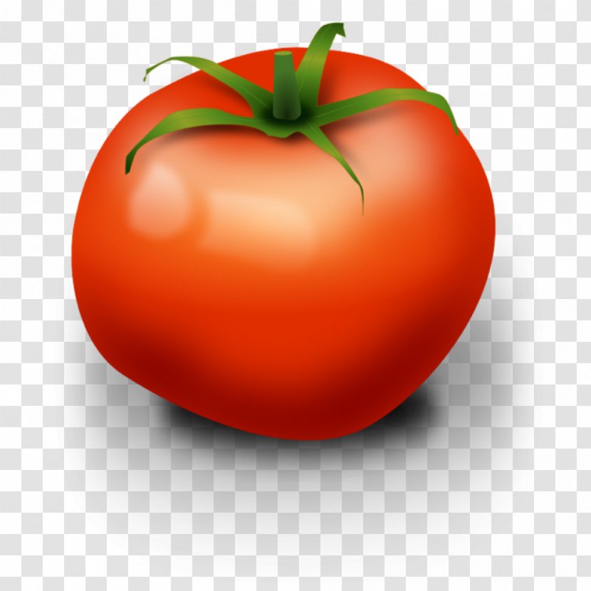 Clip Art Openclipart Vegetable Italian Cuisine - Tomato Transparent PNG