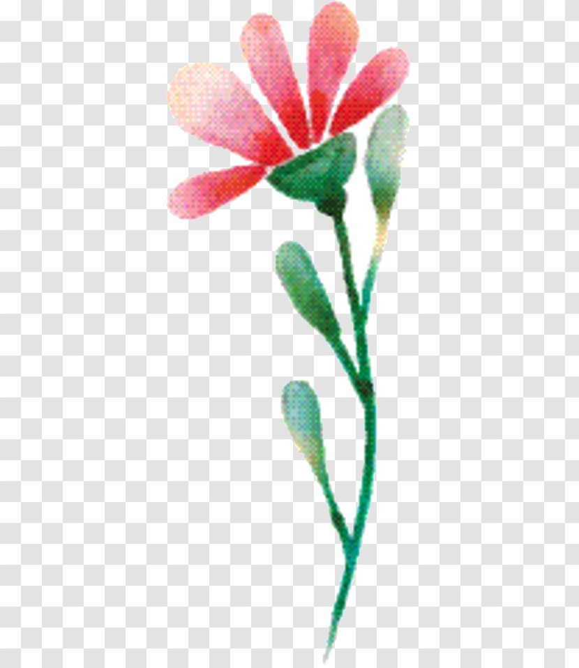 Pink Flower Cartoon - Pedicel - Flowering Plant Botany Transparent PNG