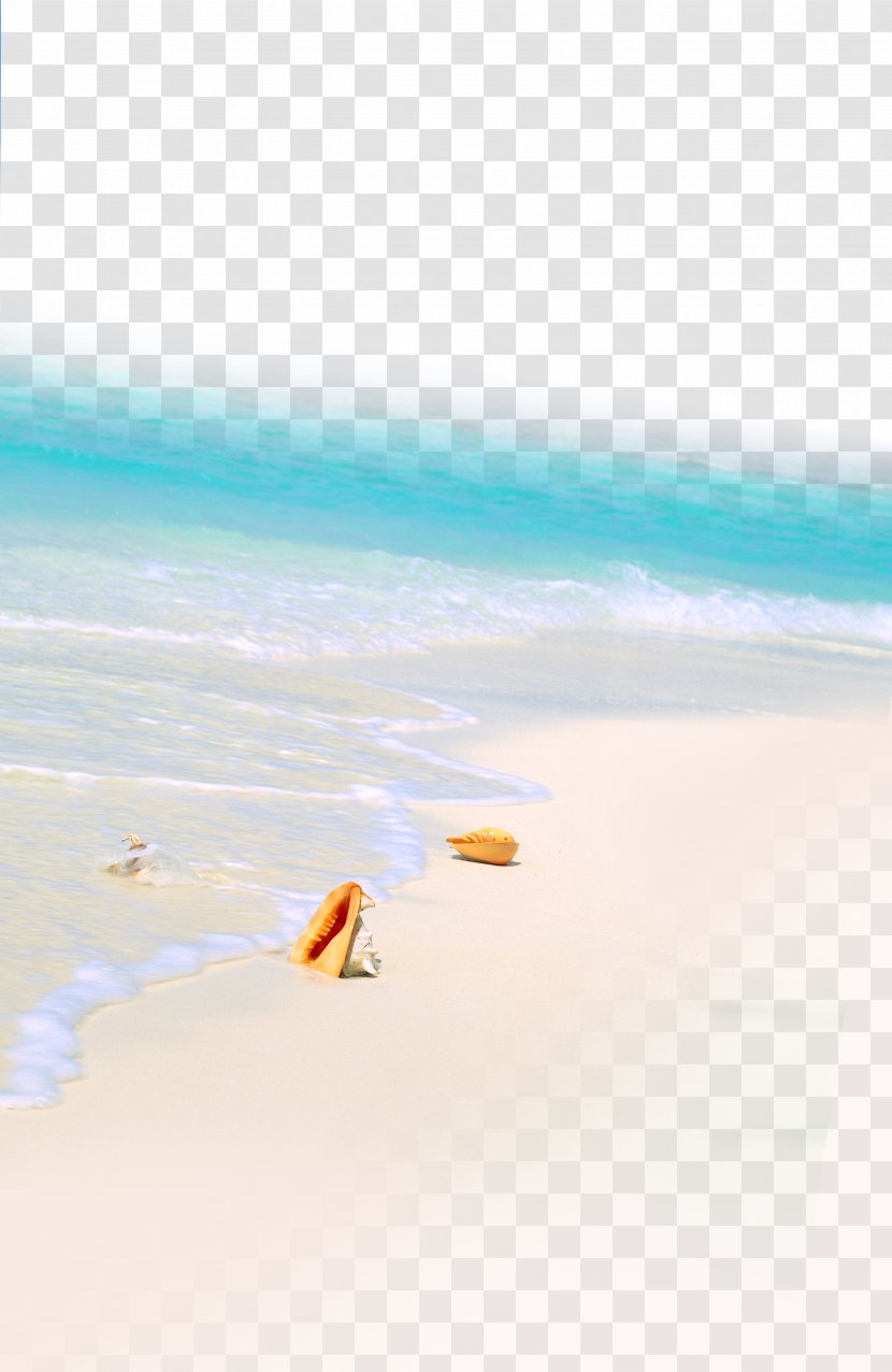 Sea Beach Shore - Sky - Summer Transparent PNG