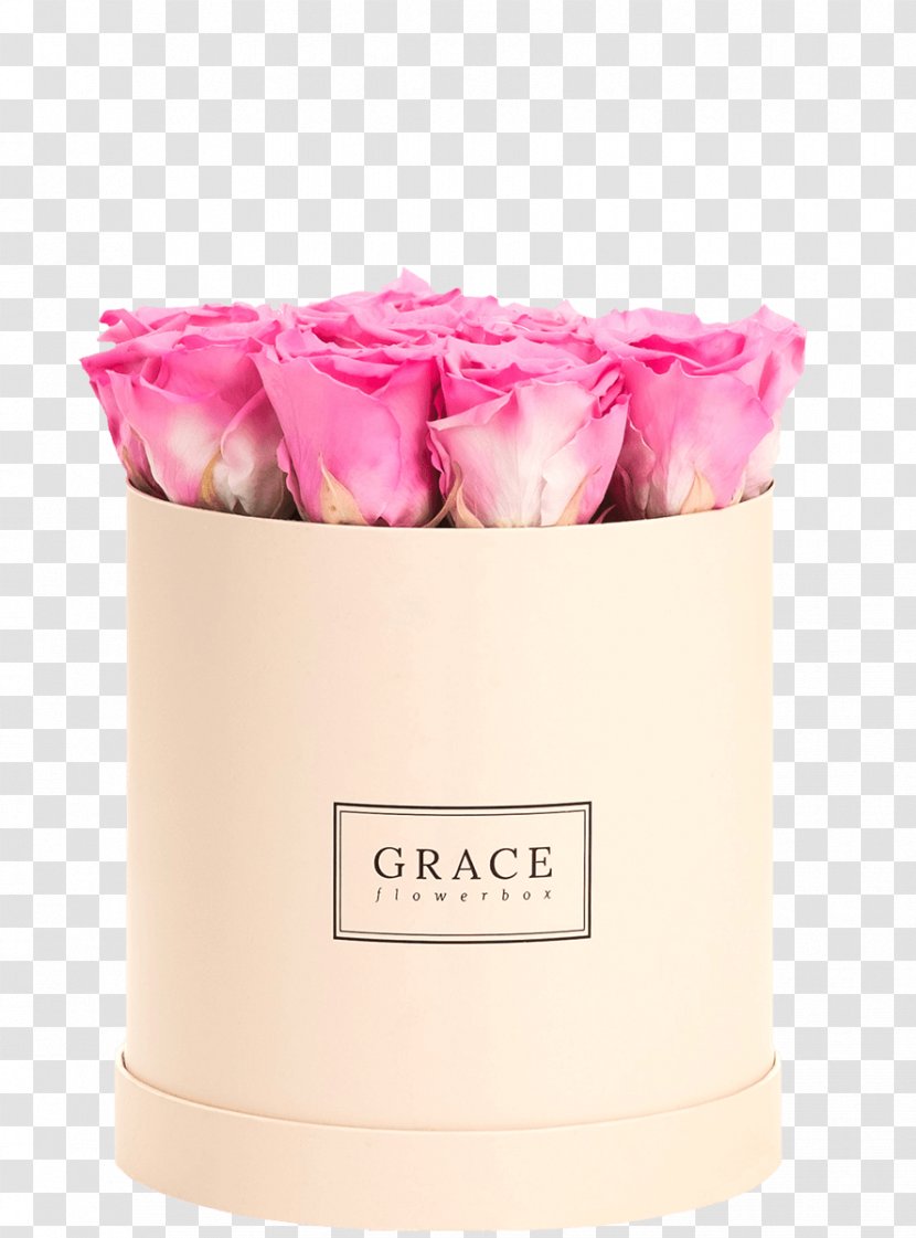 Flower Box English Rose Pink - Hue Transparent PNG